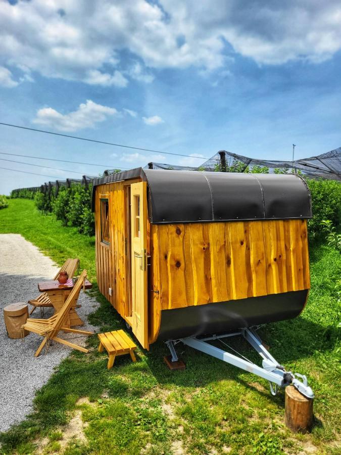 Unique Wooden Holiday House In Nature Lukovica pri Domzalah Luaran gambar